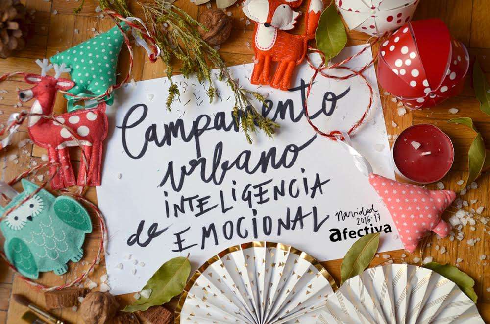 Campamento Urbano Navidad 2016