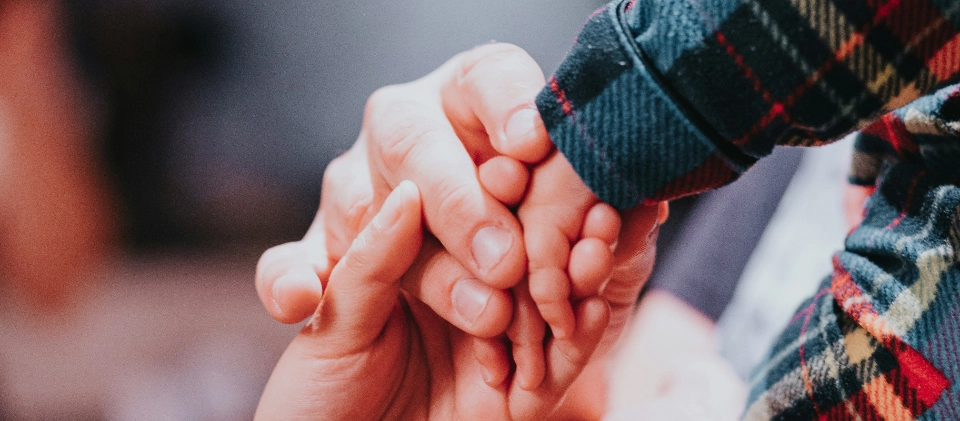 Terapia De Familia